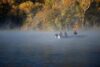 Eureka Springs Outdoors