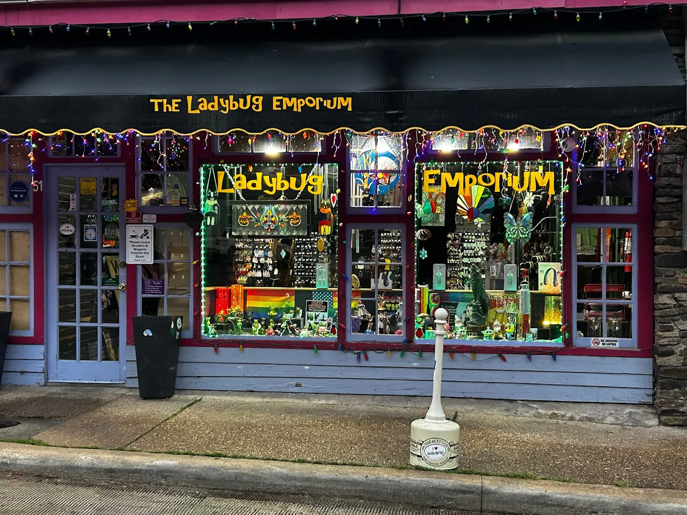 Featured image for “Ladybug Emporium”