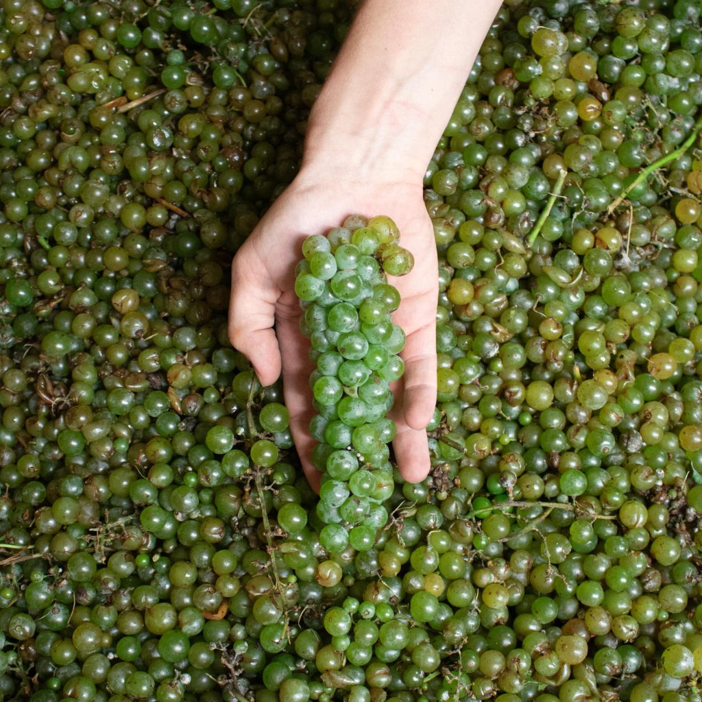 Keels Creek Winery 7 494206823 1232540918880827 7825928127341996129 n 1