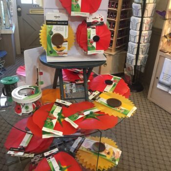 Eureka Springs Shopping