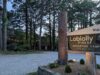 Loblolly Pines Adventure Camp