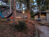 Loblolly Pines entrance path image