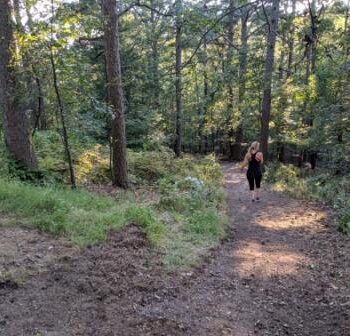 Trail at Loblolly Pines image