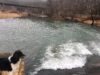 Trigger Gap Outfitters