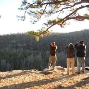 Ozark Natural Science