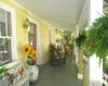 Sunflower Cottage