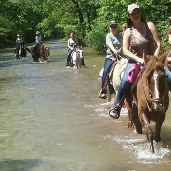 Eureka Springs Horseback