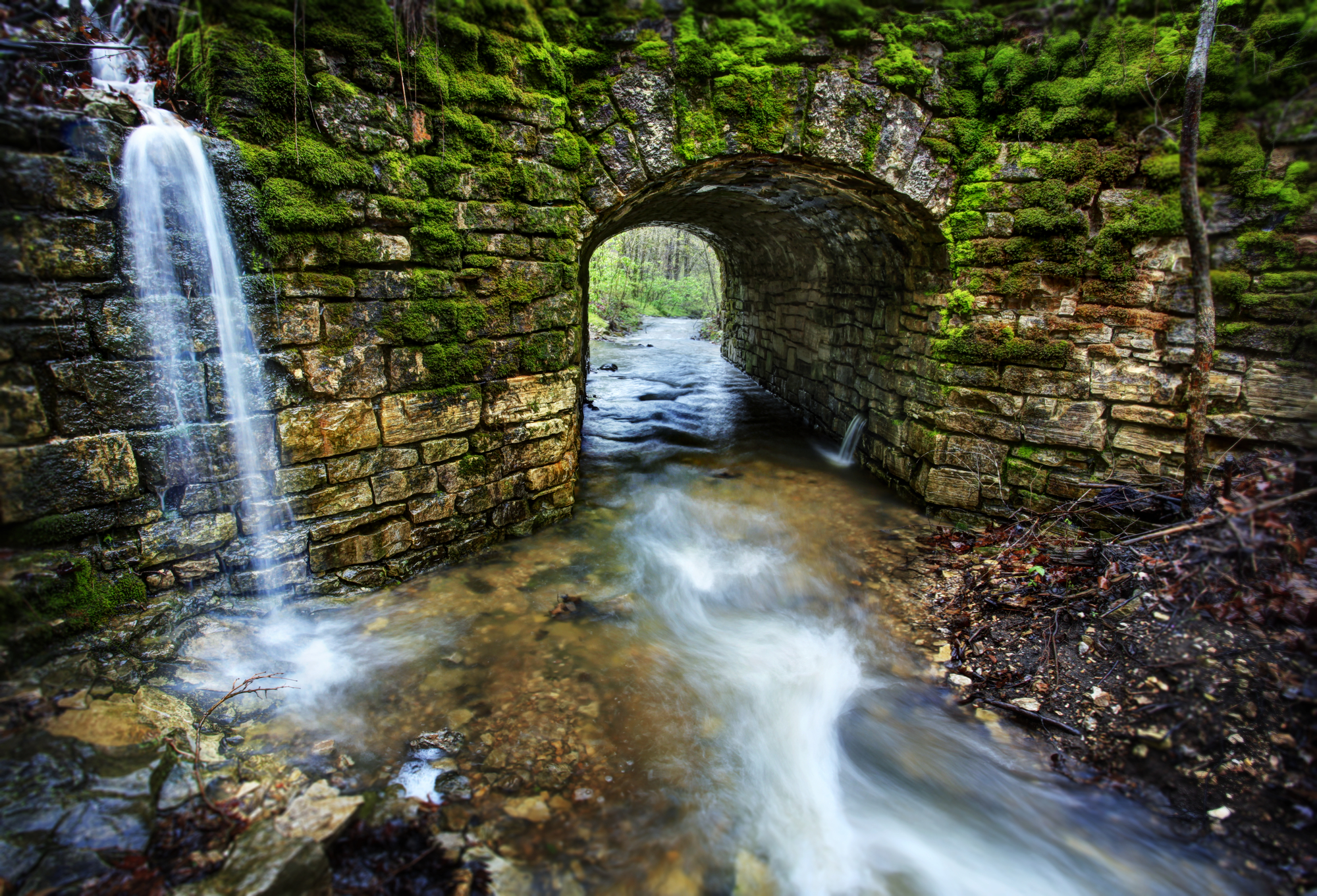 Leatherwood Bridge & Falls