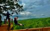 zipline8