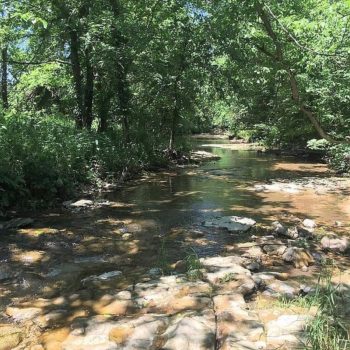 Creekside