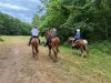 Trailride2