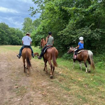 Trailride2