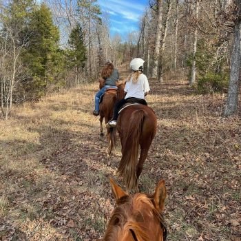 trailride