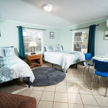 Leatherwood Cabin 5 LivingBedroom