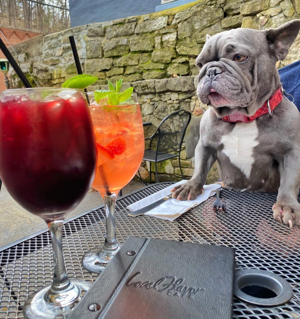 diegathefrenchie Instagram 3007 ig 18129742462013232